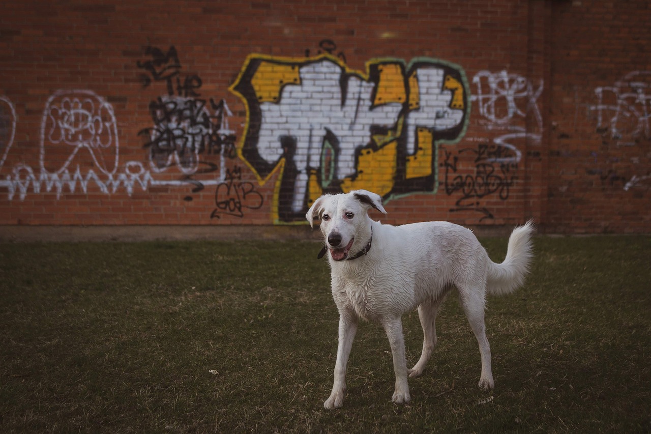 保育士が転職する際の正規採用のポイントは？