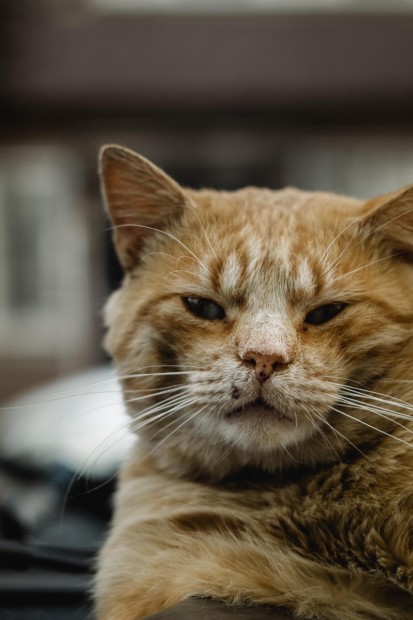 保育士の転職で正規採用を成功させるためのポイントは？