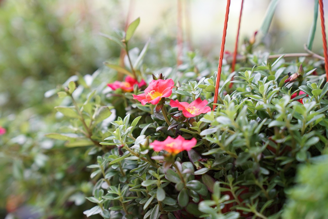 保育士が転職する際に保育時間が短い職場のメリットは？