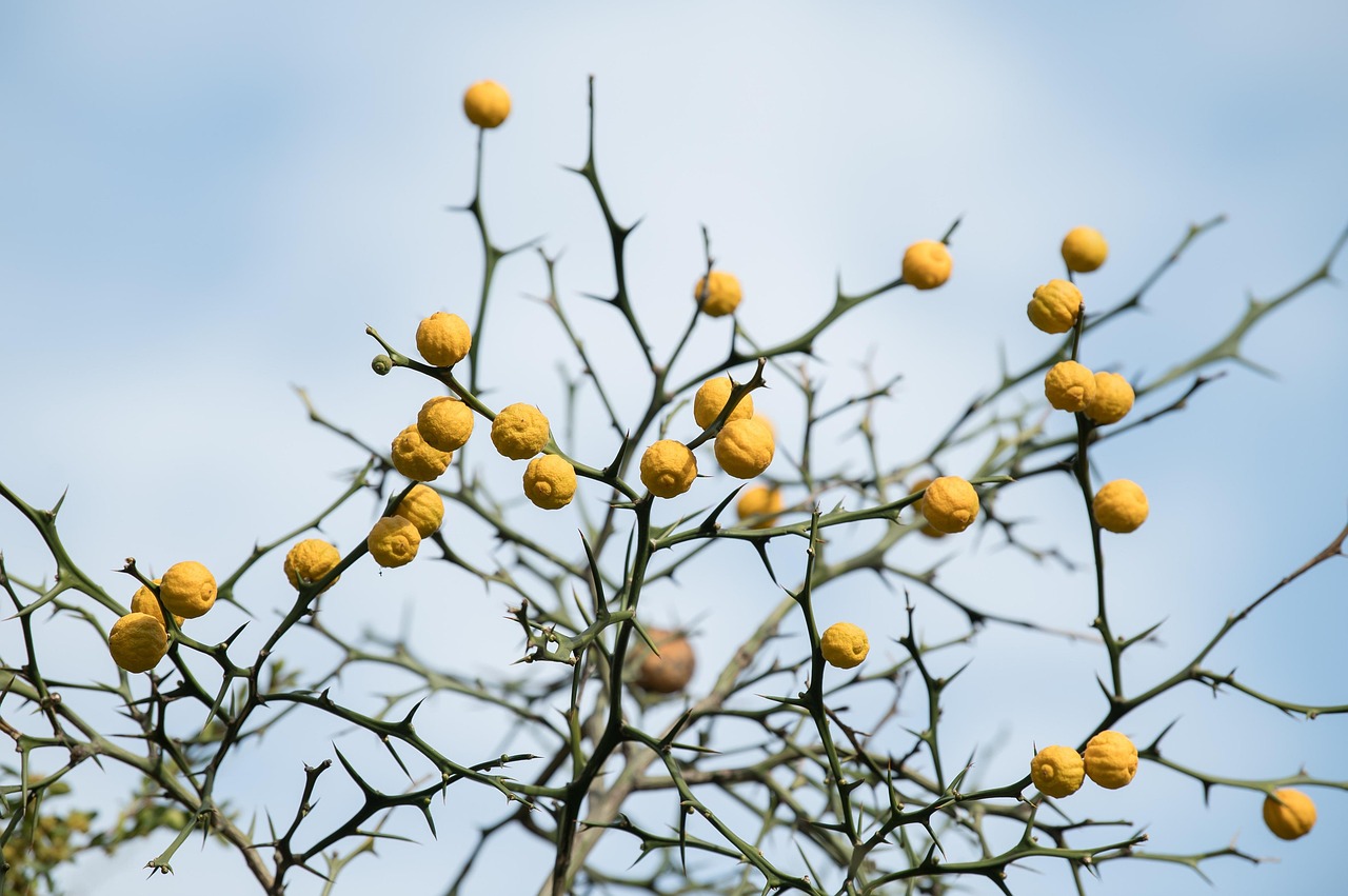 保育士の転職に役立つアドバイスとは？