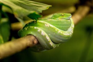 保育士転職の口コミと評判はどれくらい信頼できる？